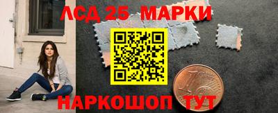 шишки Будённовск