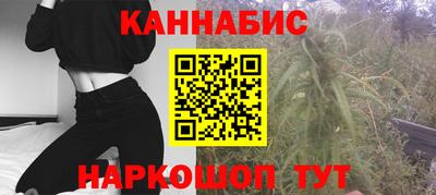 шишки Будённовск