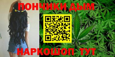 шишки Будённовск