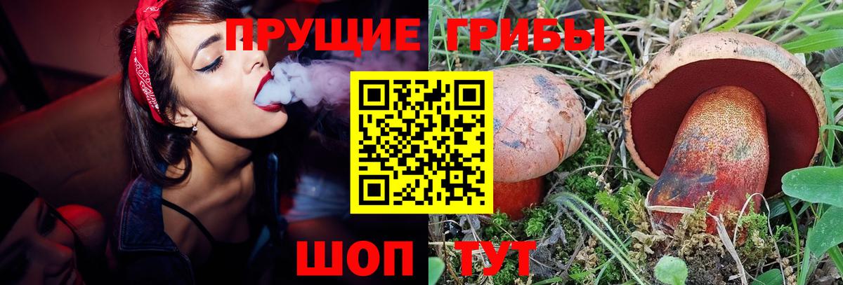 где купить наркоту  Галлюциногенные грибы прущие грибы  Псилоцибиновые грибы мухоморы  Вход с VPN  Киреевск 
